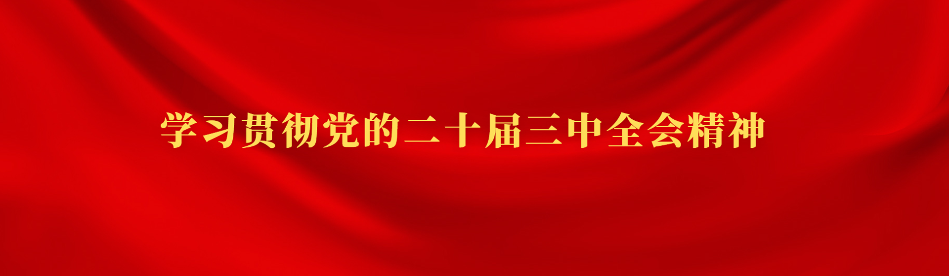 學習貫徹黨的二十屆三中全會精神