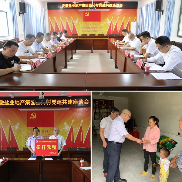 安徽鹽業地產集團黨委赴西河村開展結對共建幫扶慰問活動